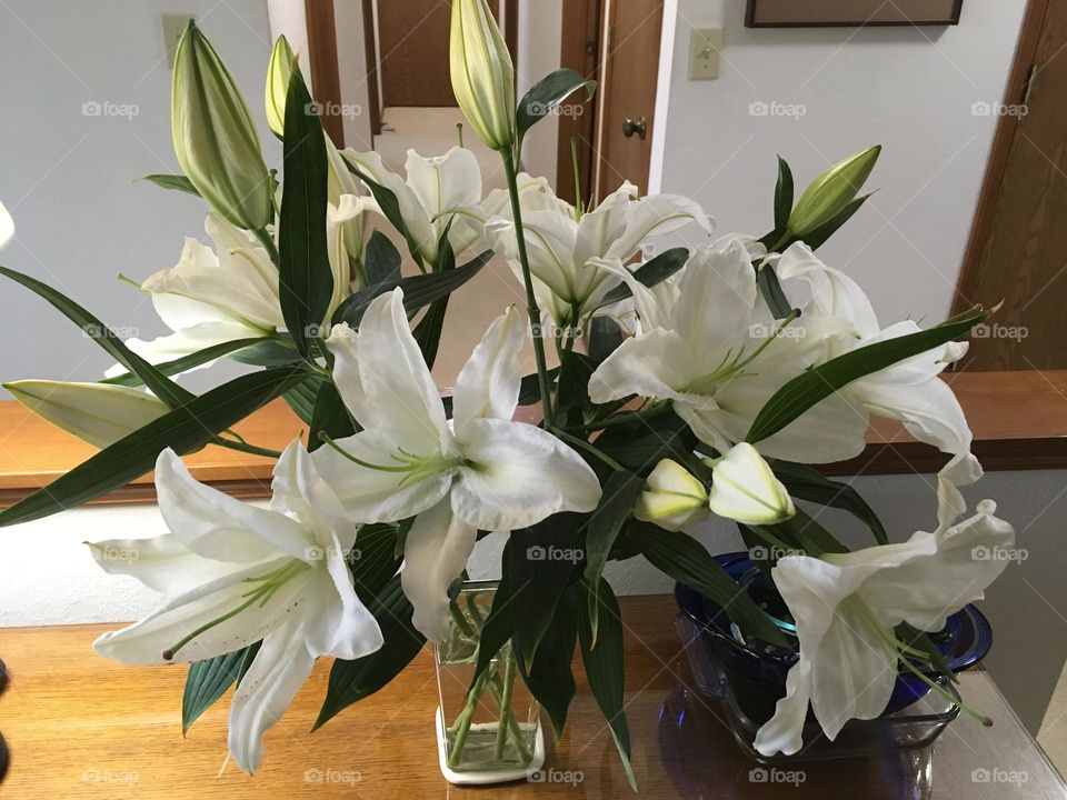Easter Lillies