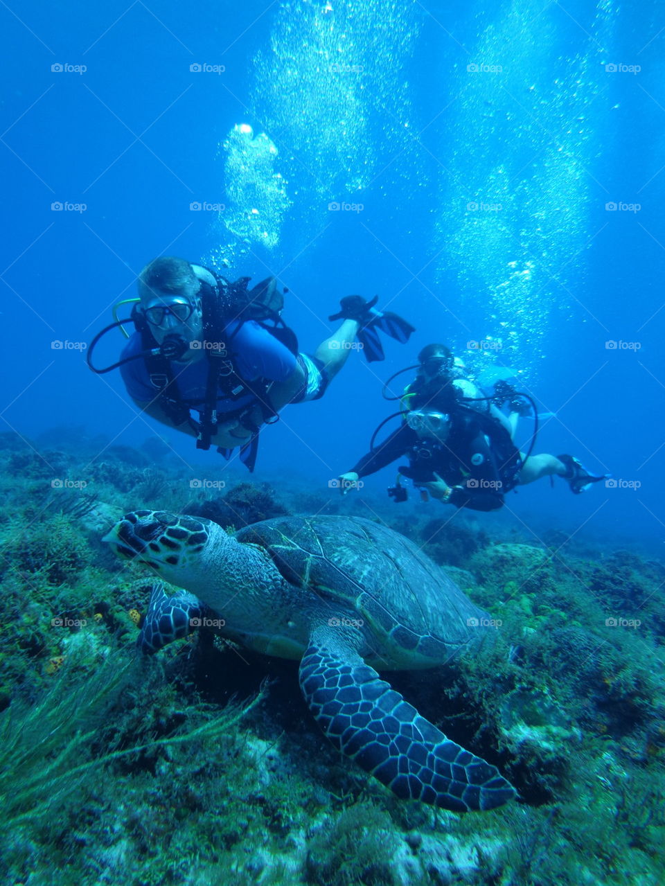 cozumel diving