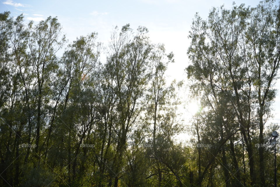 sun shining on this beautiful fall day