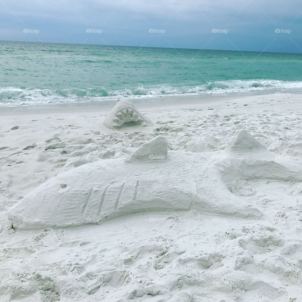 A true sand shark 🦈 