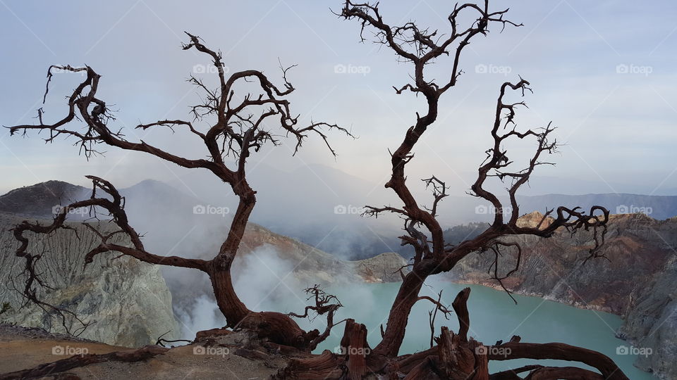 Mystical Ijen