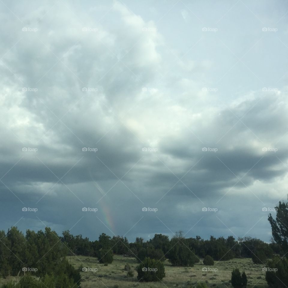 Rainy Day Rainbow