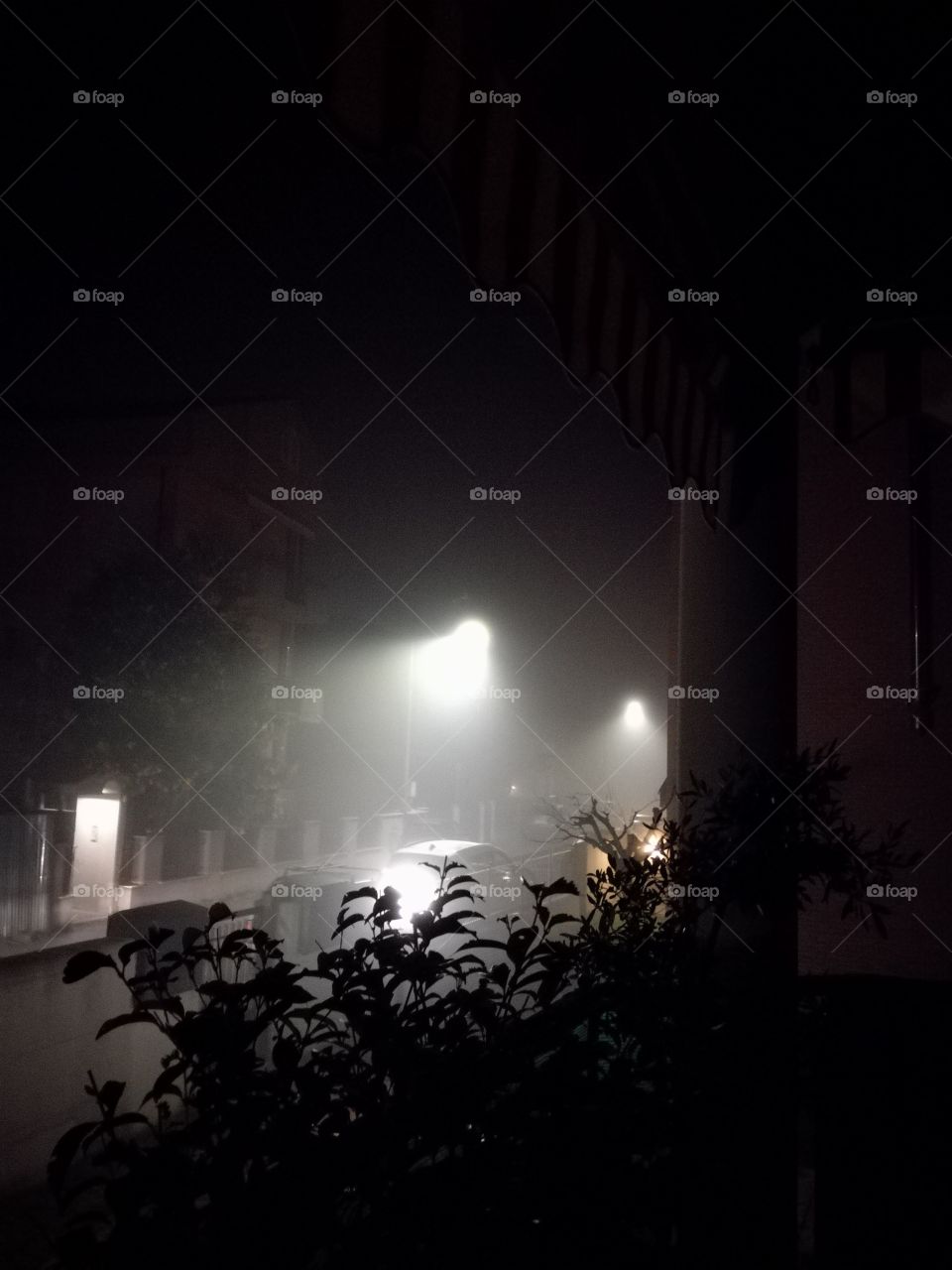 Fog...in the night