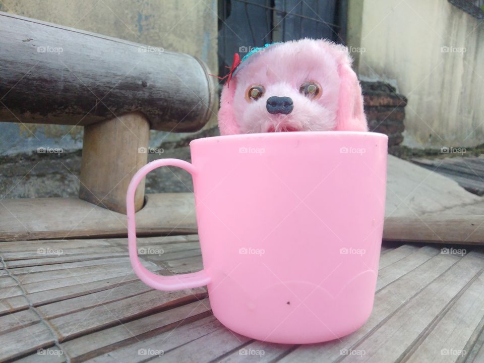 pink stuffed puppy behind the pink cup