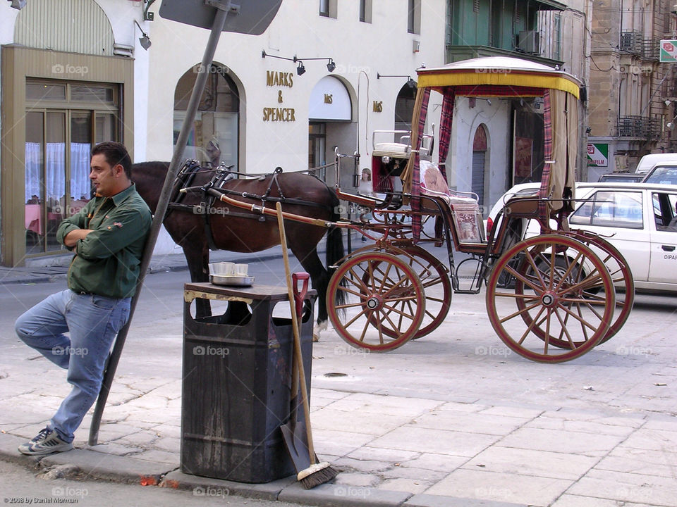 horse malta carriage valletta by danielmorman
