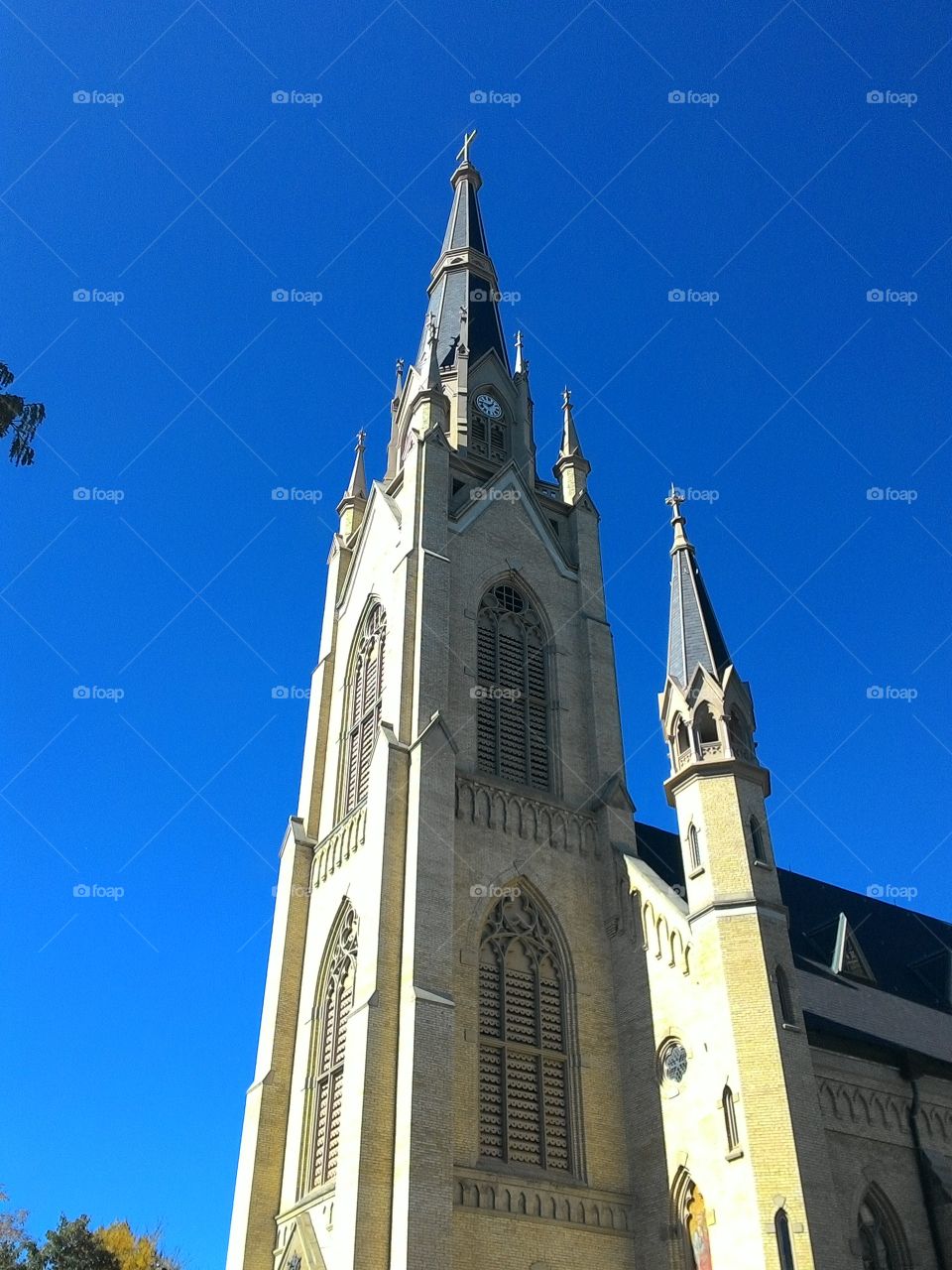 cathedral. a Catholic church
