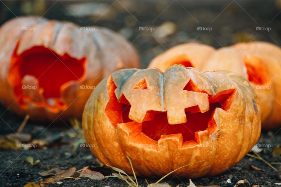 Halloween, fog, ominous, pumpkin, design, cut, candles, night, scary, fear, castle, fireplace, fire, firewood, fall, October, holiday, celebrate, day, all, saints, autumn cozy, funny, cheerful, sleepy hollow, scary forest, a dense, hazy, foggy, forest, apples, harvest, fruit, warm, November, September, orange, citrus, rustic, style, decor, candy, decor, cobweb, spider, embellished, decorated, Lithuania, tree, time, mood, beautiful, stylish,