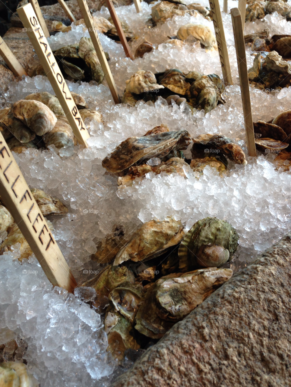 ice seafood oysters maine by bobmanley