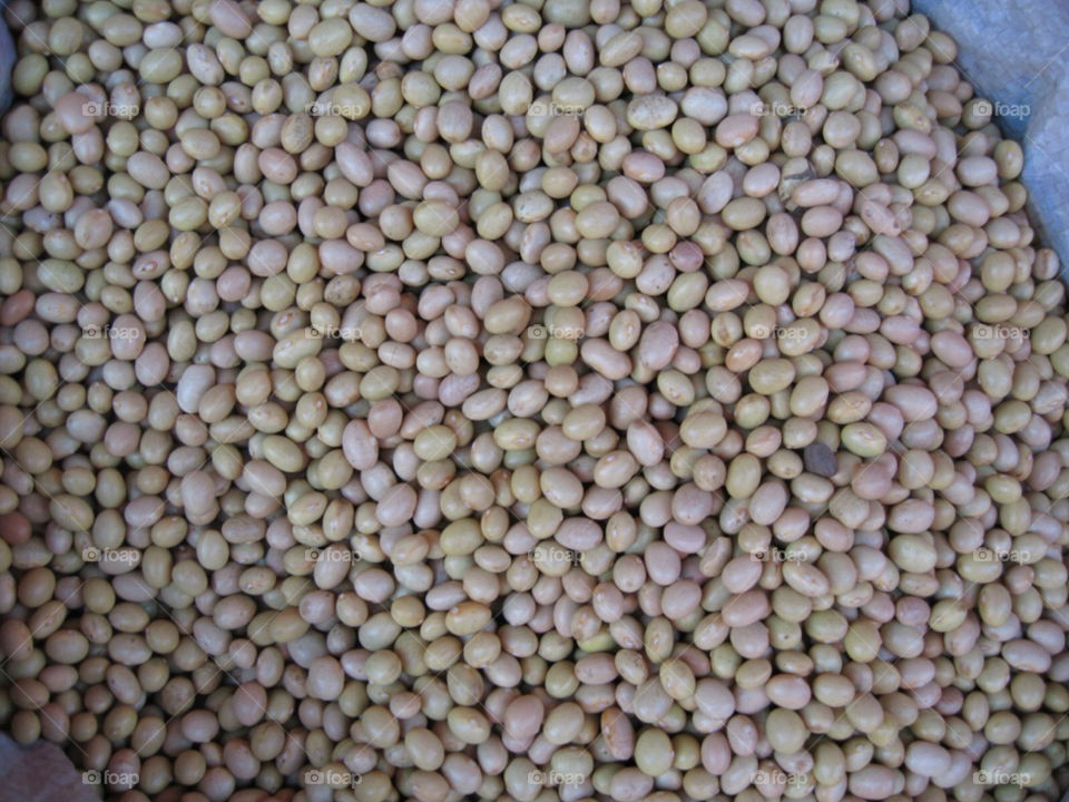 market beans by jorlores