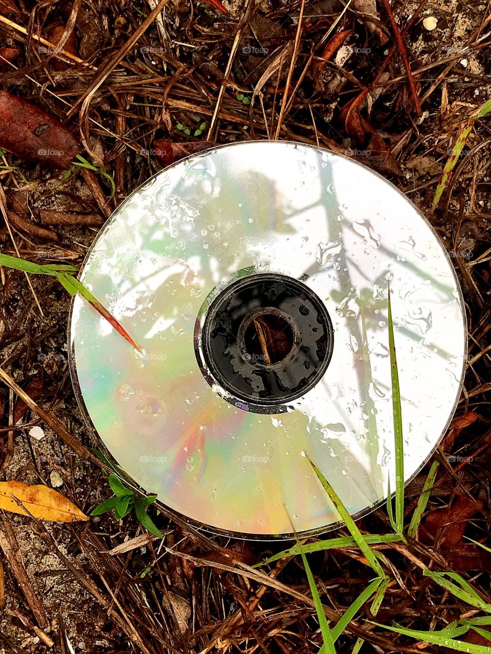 Creative texture-discarded CD disc in the grass.