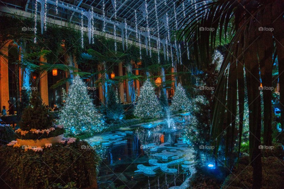 Fire and Ice….a Longwood Christmas 