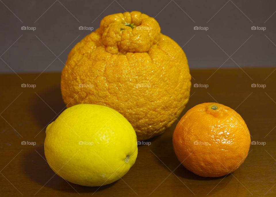 Citrus Fruits 