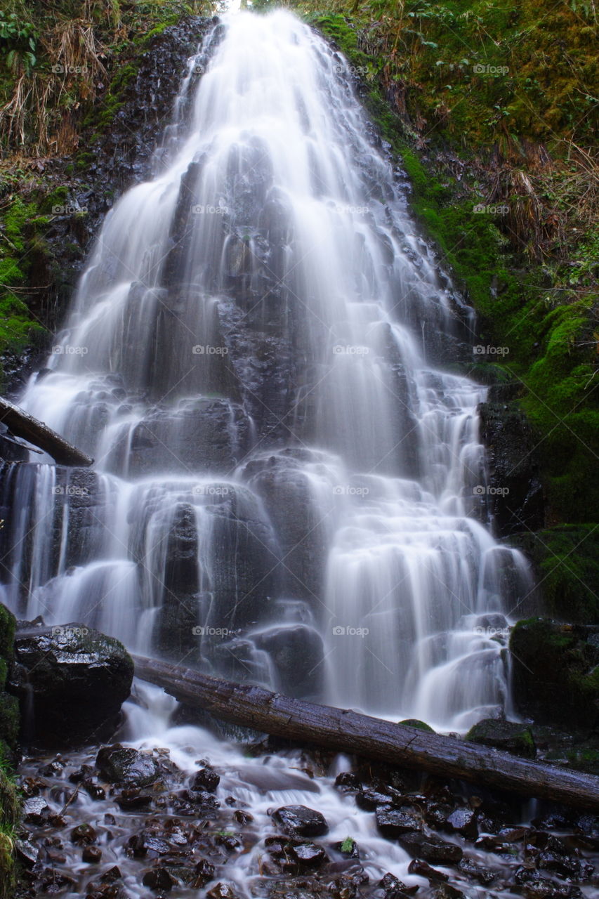 Fairy Falls in the Columbia River Gorge Oregon