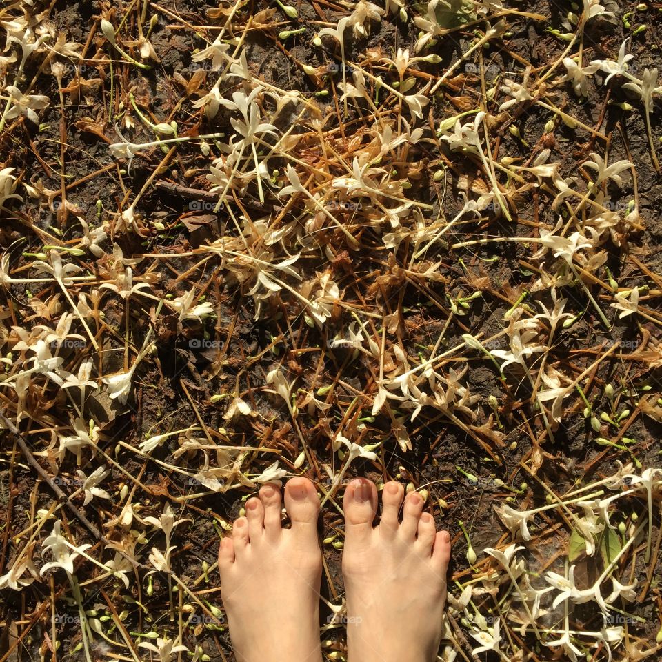 Top view foot and legs flower. Top view foot and legs flower background. Selfie