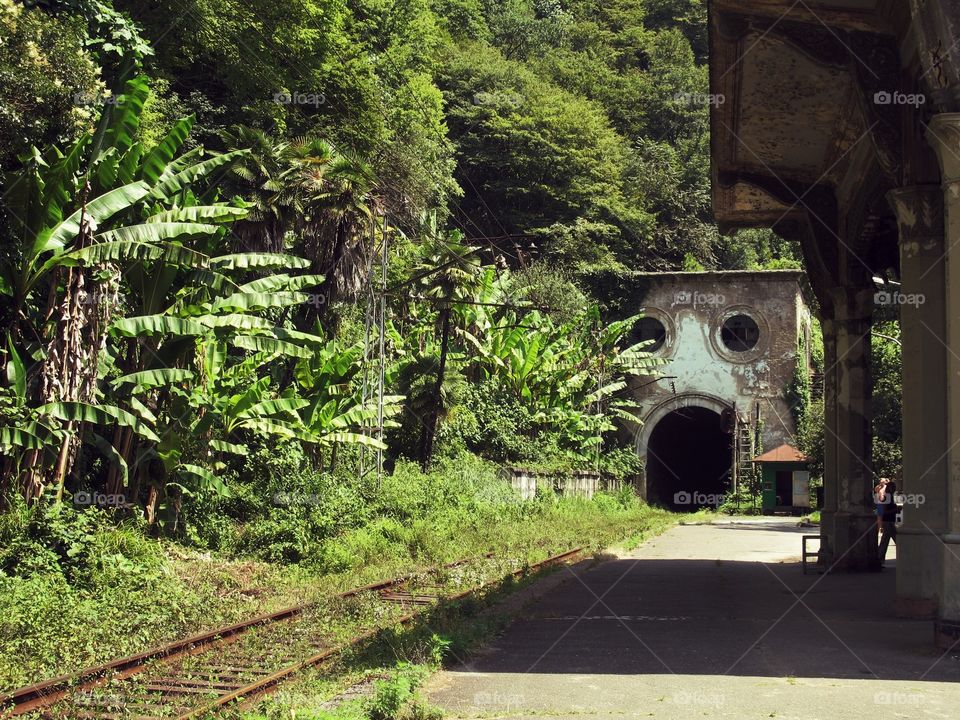 Abandoned tunnel for the train in subtropical region of Abkhazia