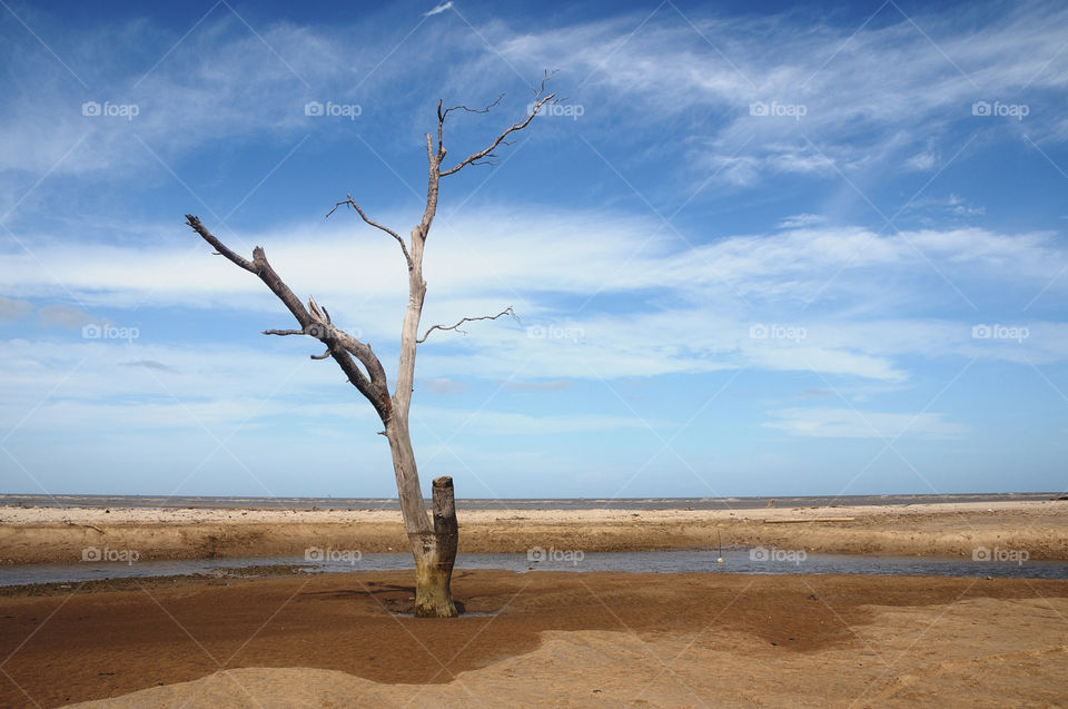 tanjung beach