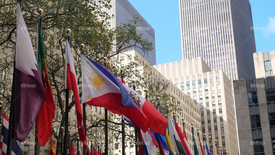 Philippine Flag