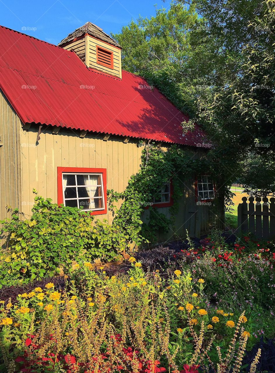 Potting Shed