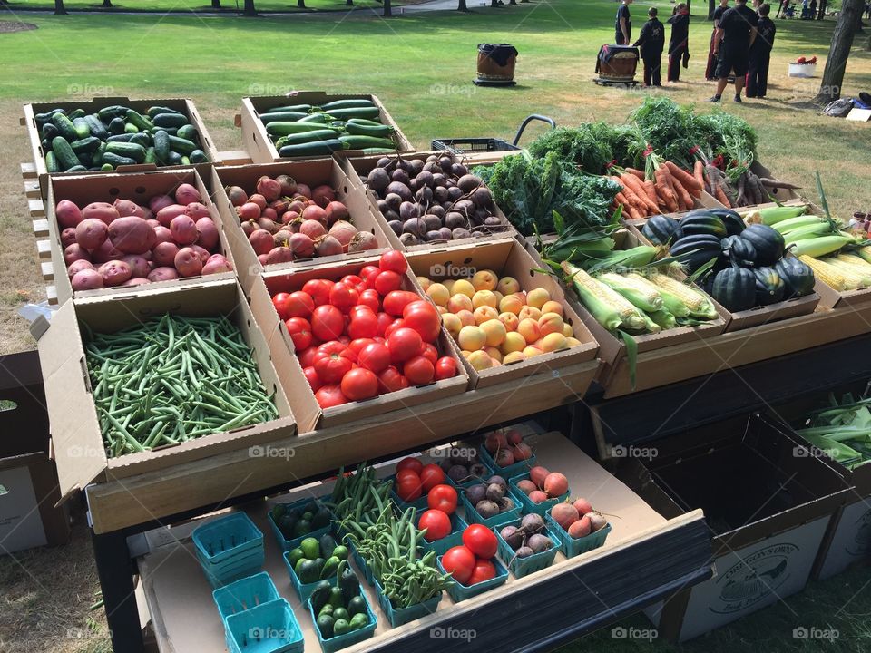 Farmer's Market Stand