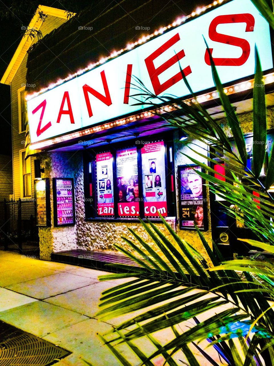 Zanies