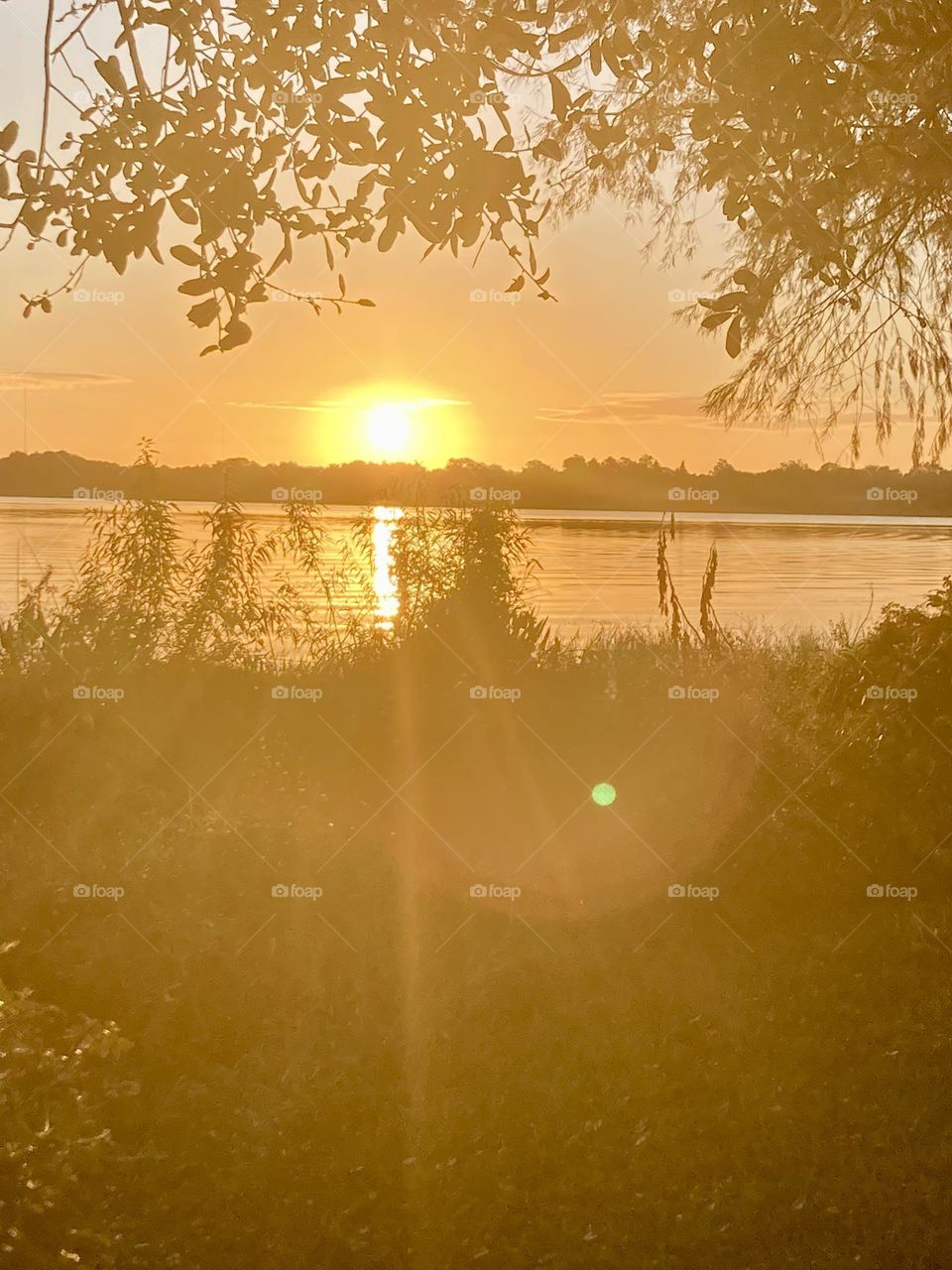 Sunrise at the lake