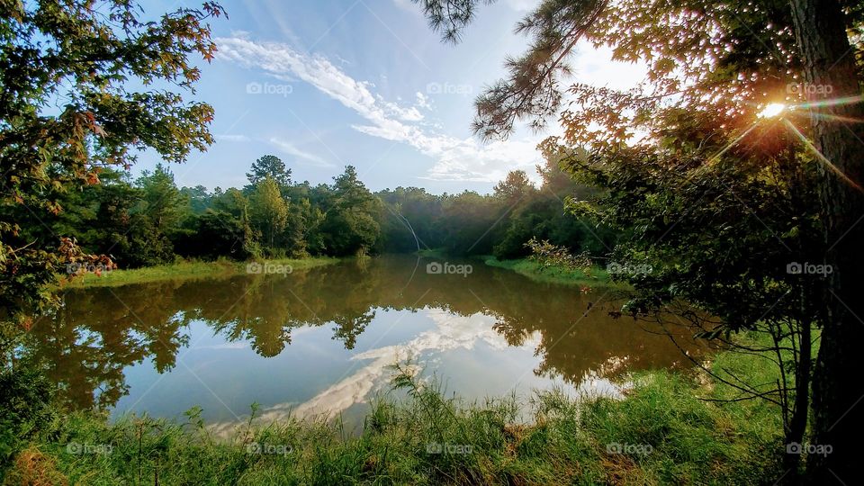 morning reflection