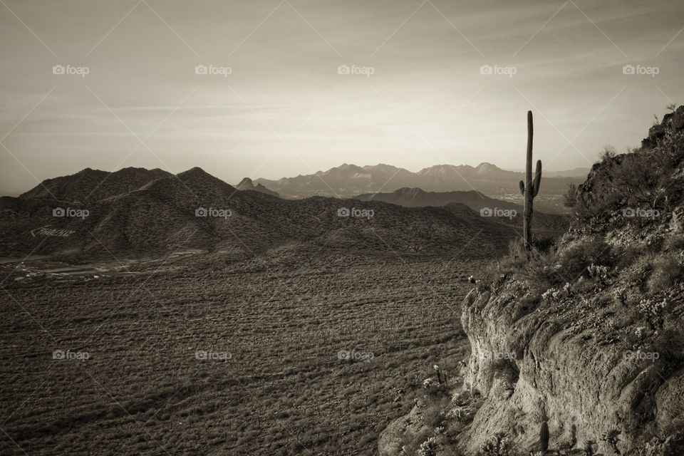 Which Way to Phoenix?