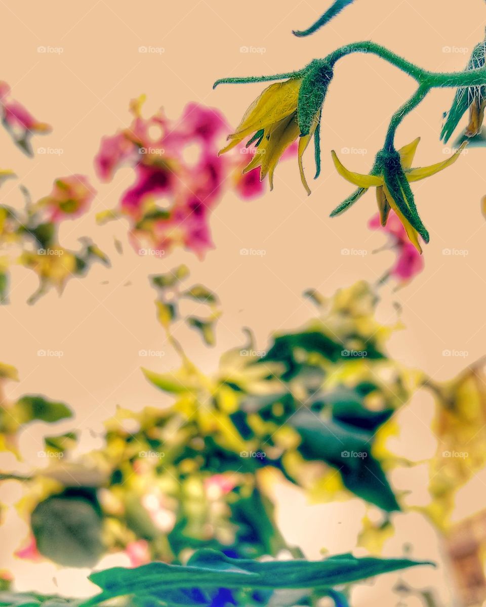 mobile series:plants