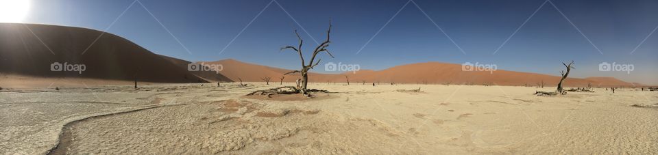 Desert, Arid, Dry, Sand, Wasteland