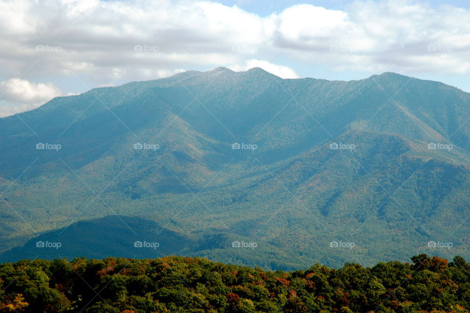 outdoors mountain tree trees by refocusphoto