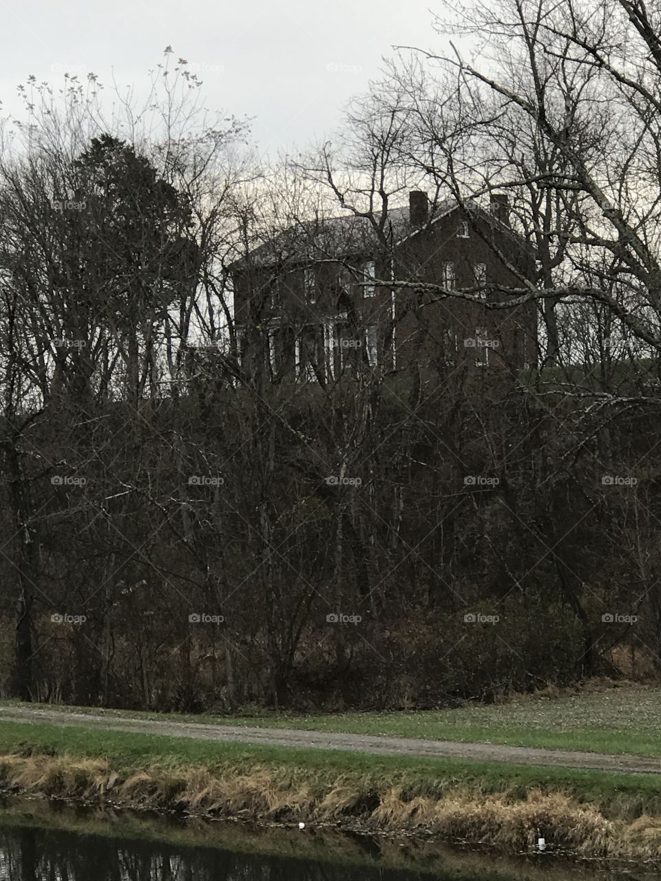 House on The Hill