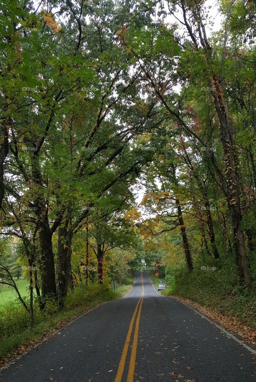 The love of fall. Fall in Ohio