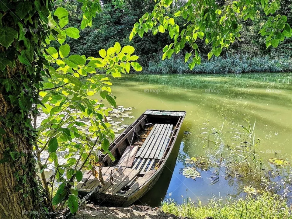 The boat