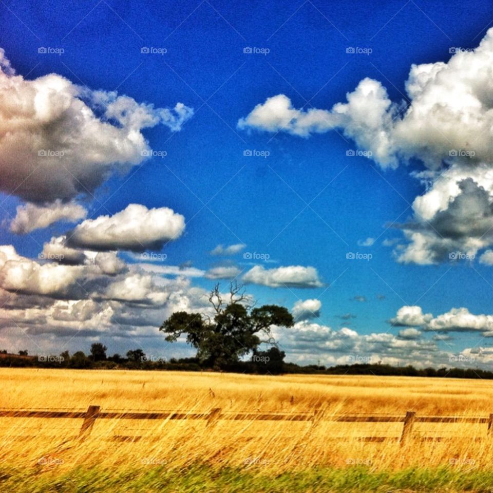 English countryside 