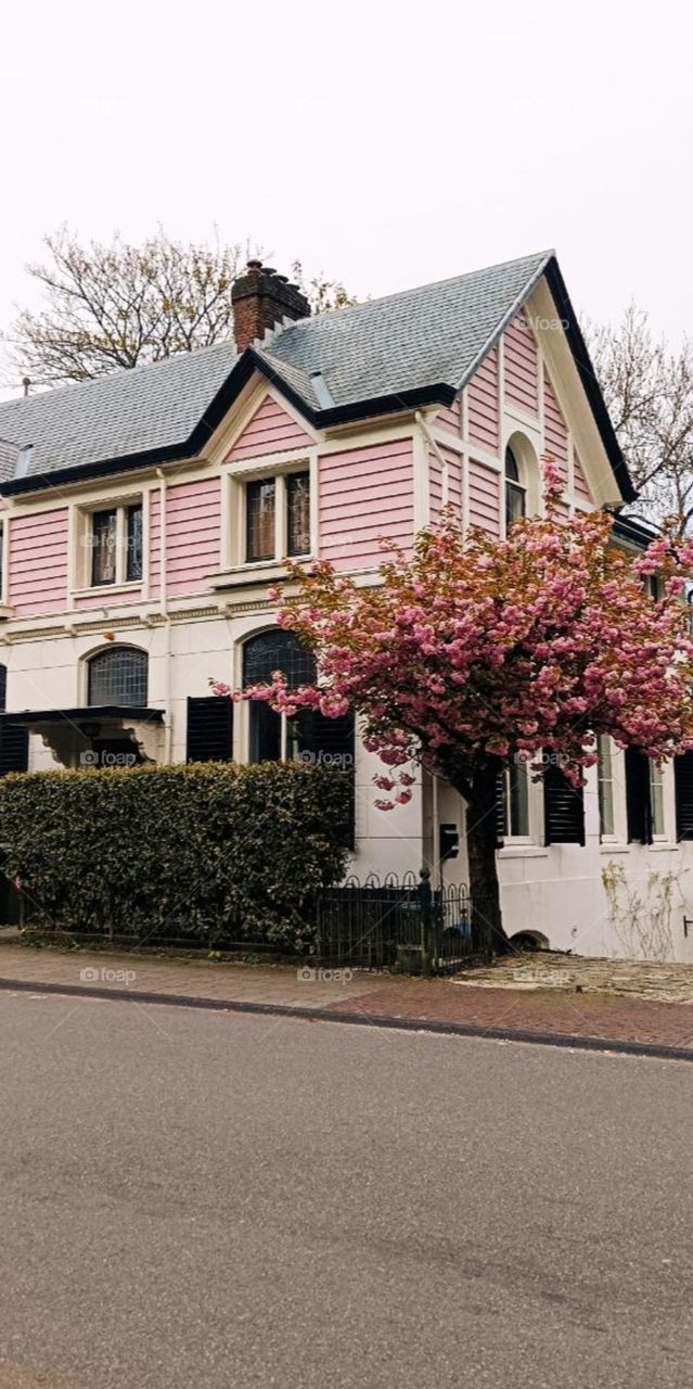 Sweet Pink House