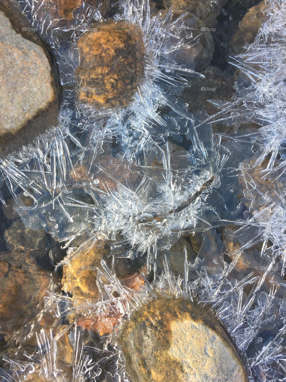 Icy morning walk along the river. 