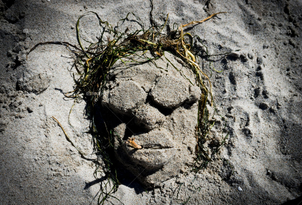 Face on Sand