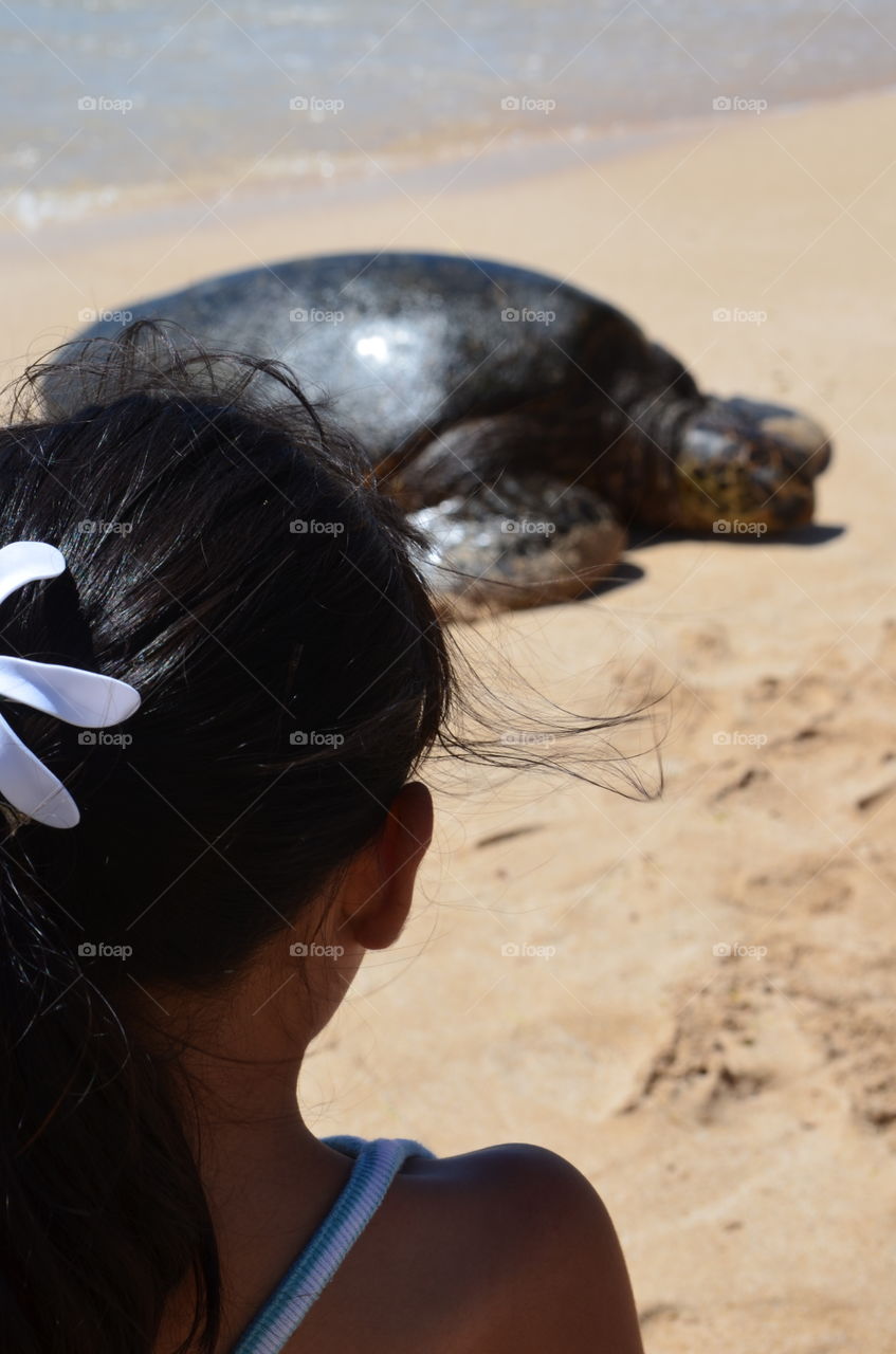 Girl watching turtle