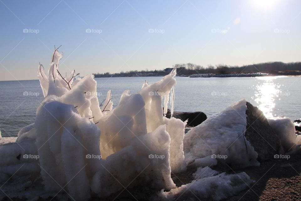 Icy sculpture formed over branches near Lake Erie