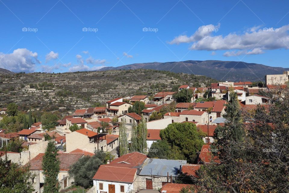 Trees and plants of the village and village houses top view