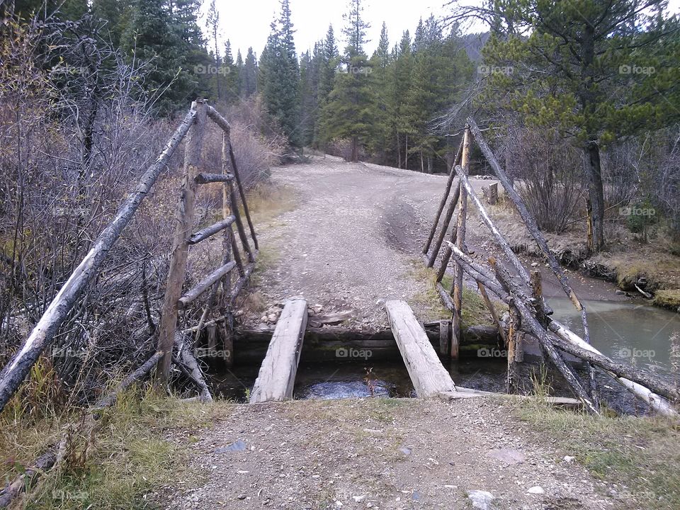 To Bridge Or Not To Bridge. 4x4'ing in Colorado and came across this bridge