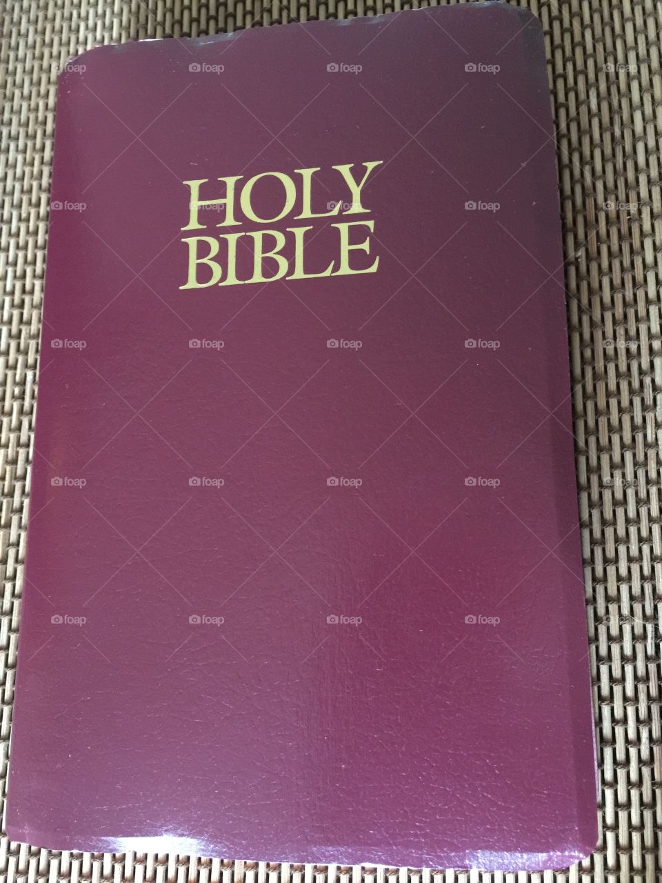 Holy Bible