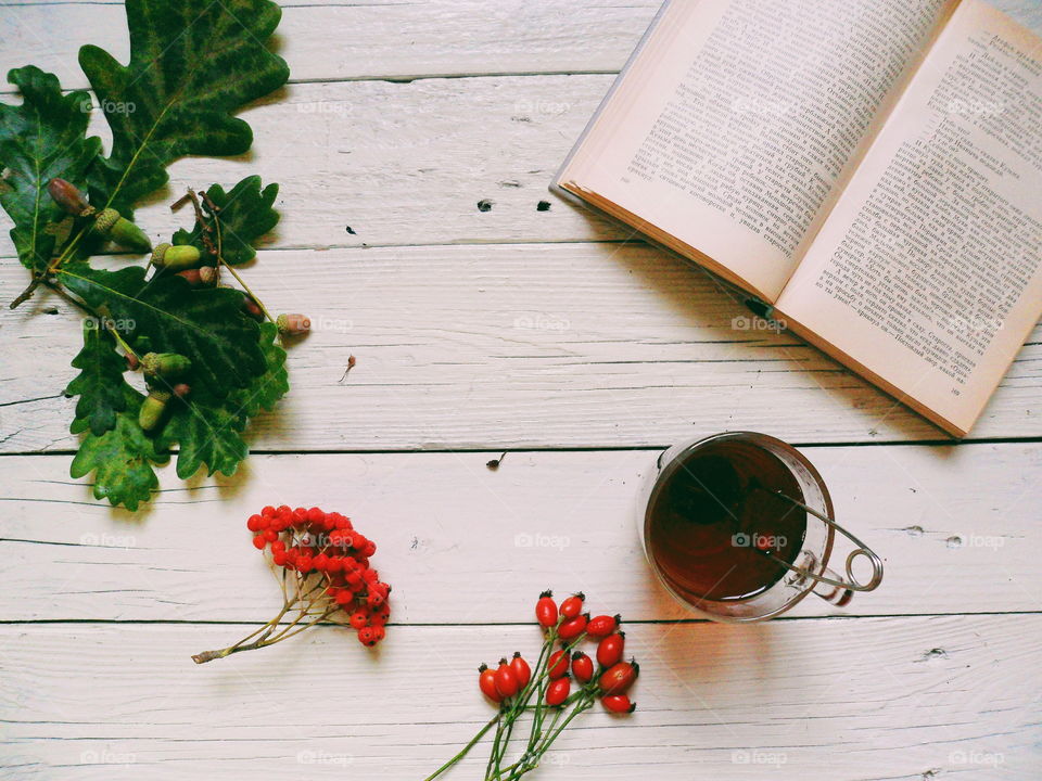 Open book, a cup of tea, a bundle of mountain ash, a bunch of rose hips and oak leaves