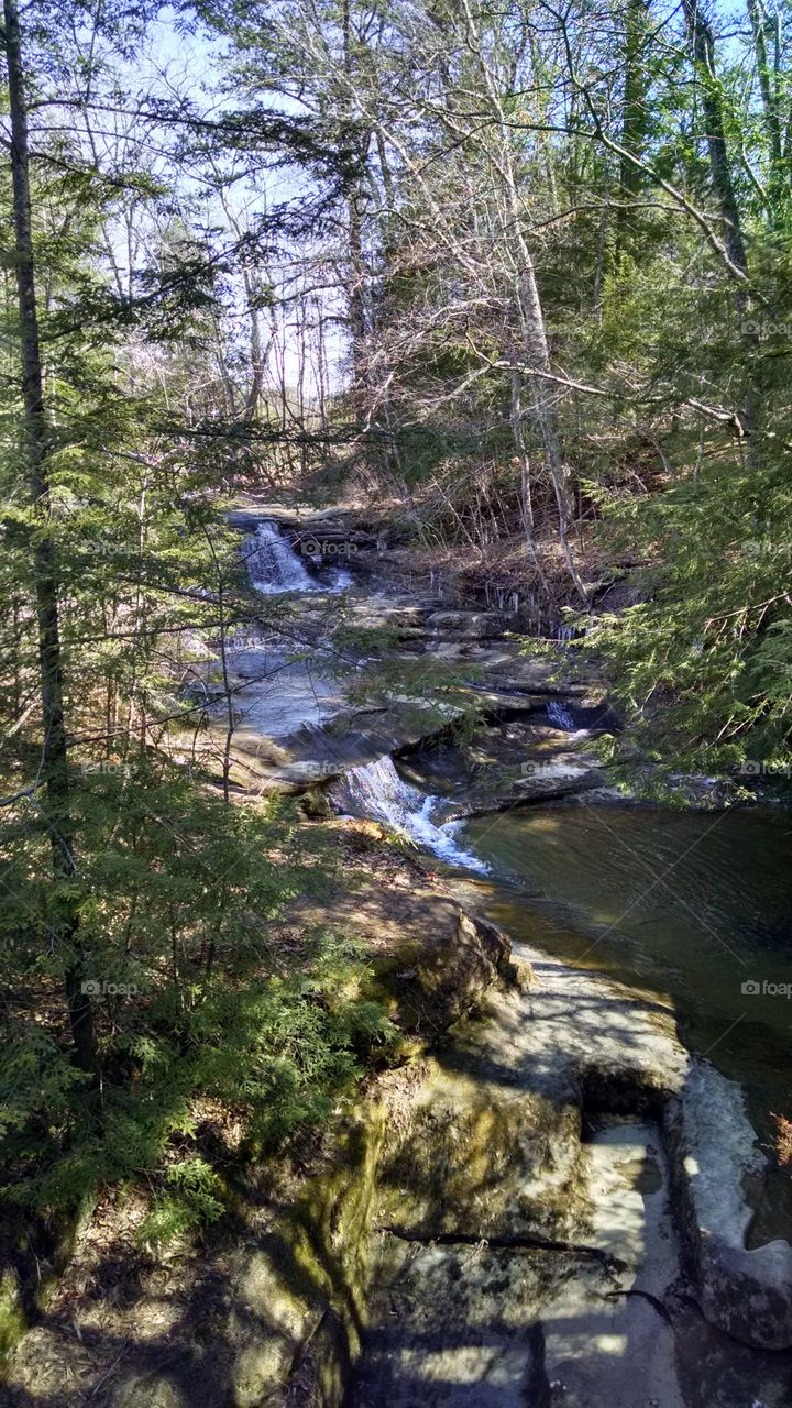 View of stream