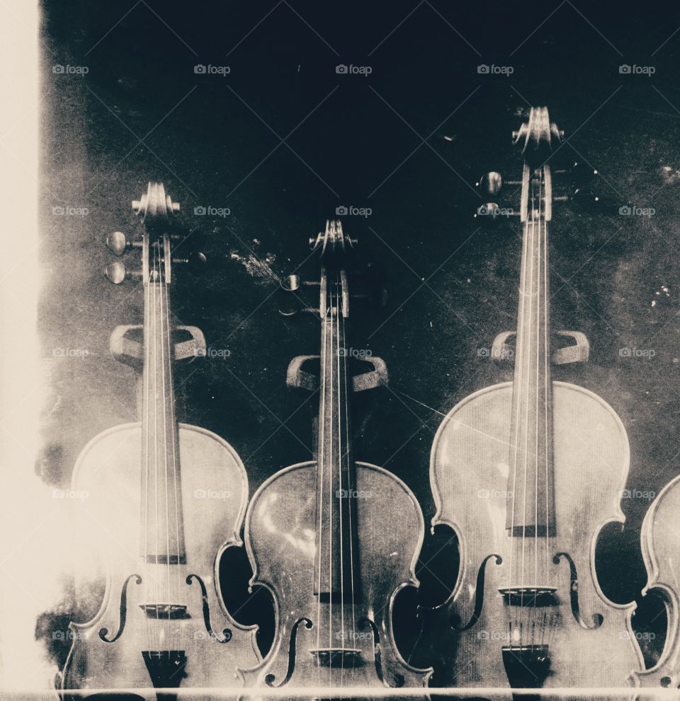 Violins and violas