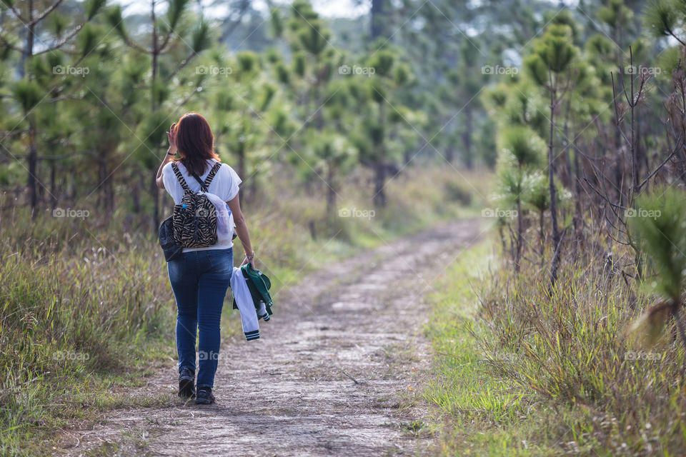 Female tourist walking into the forest in Phu Kradueng national park , Loei , Thailnad 