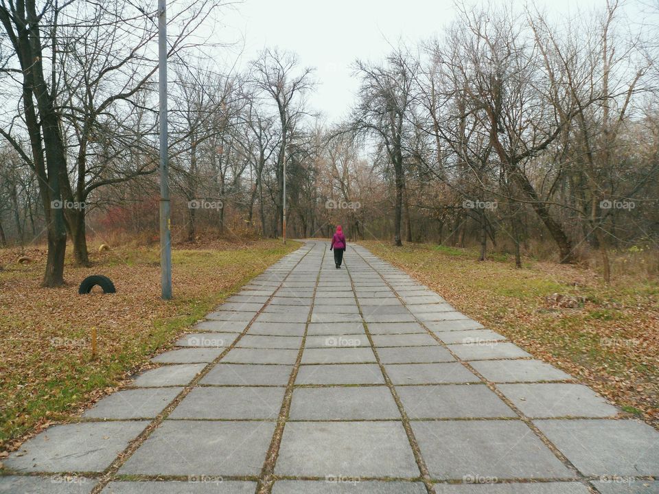 people walking on the road in the park, autumn 2016