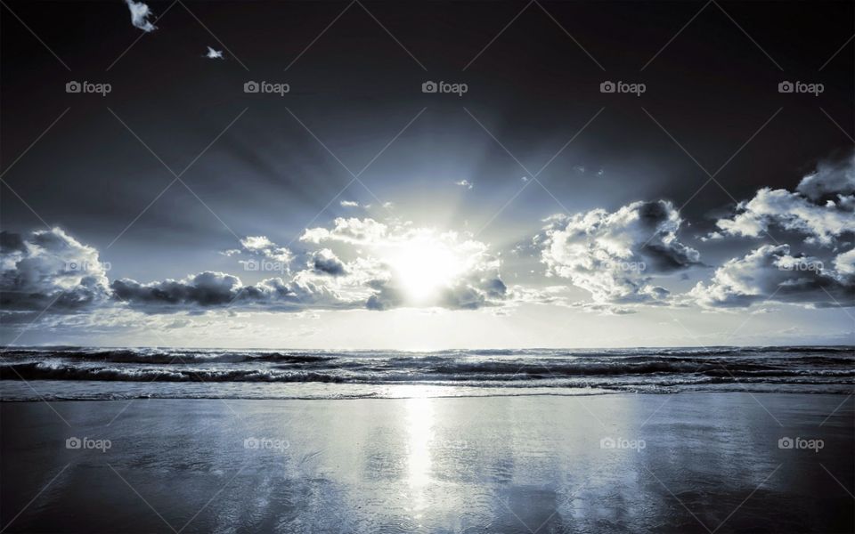 Ocean Beach Landscape