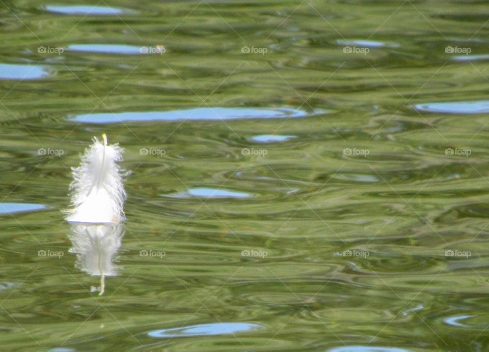 Minimalistic Snaps, floating feather 