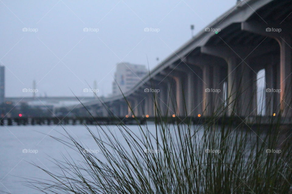 Bridge, Water, Reflection, River, No Person
